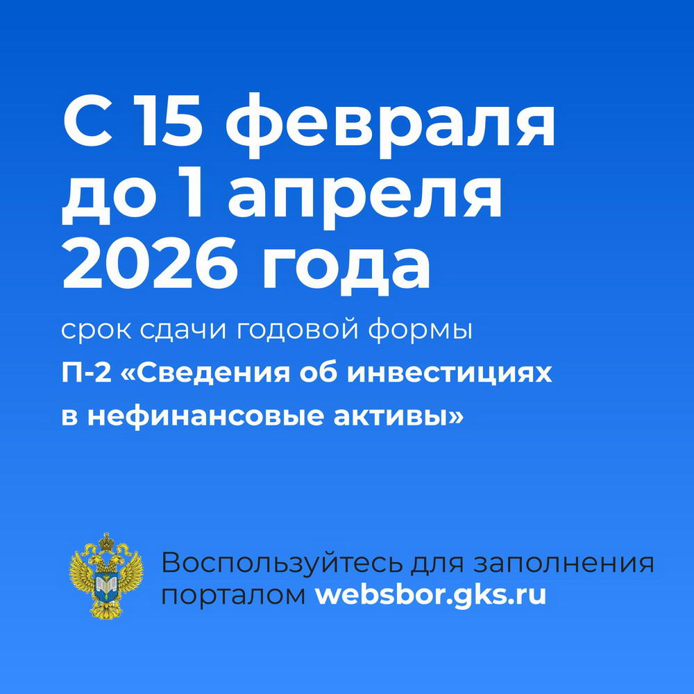soc.seti godovaya otchetnost 2025